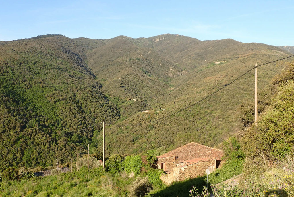 Arriba el Turó de Samon desde las cercanías de Montseny